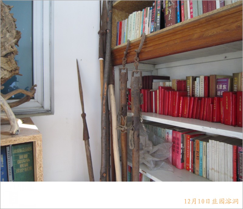 conew_照片 103.jpg