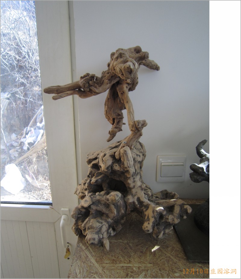 conew_照片 104.jpg