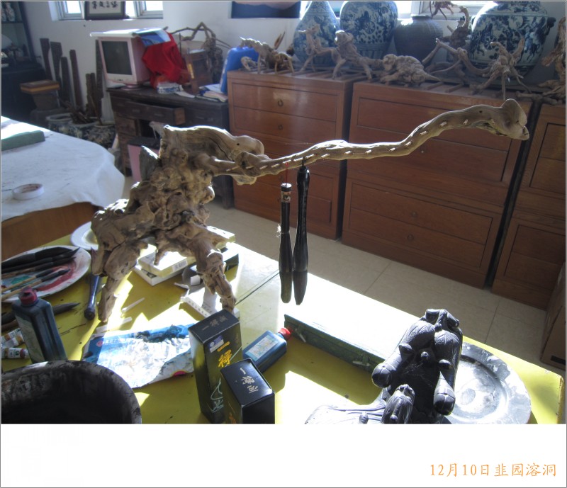 conew_照片 107.jpg