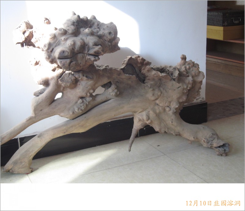 conew_照片 109.jpg