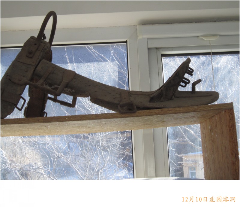 conew_照片 111.jpg