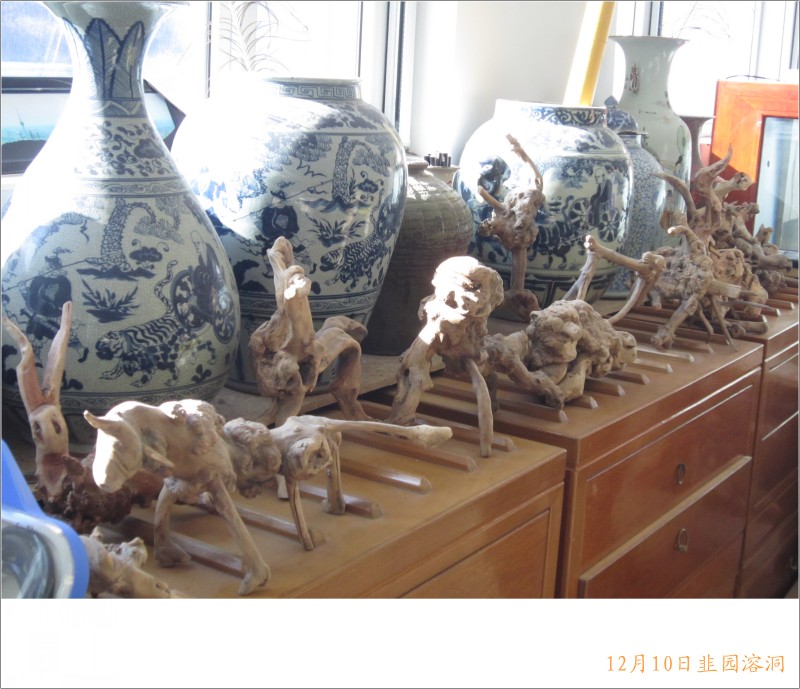 conew_照片 112.jpg