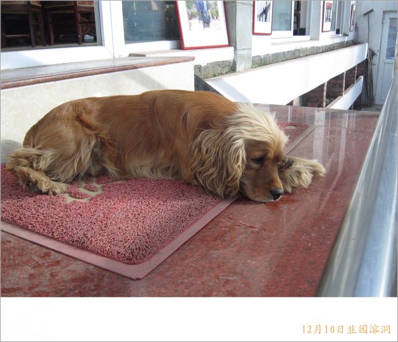 conew_照片 122.jpg