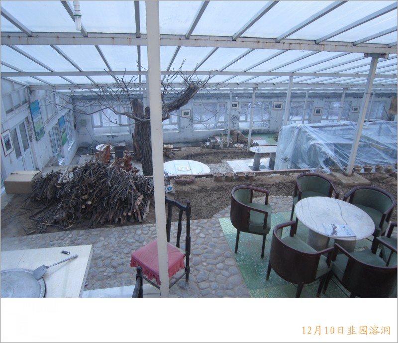 conew_照片 124.jpg