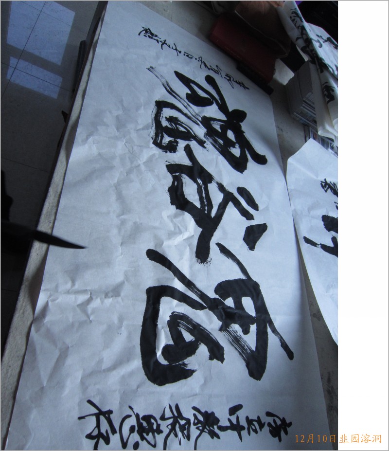 conew_照片 129.jpg