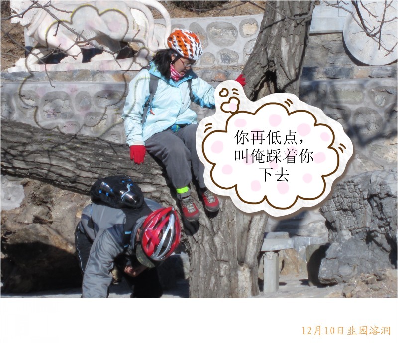 conew_照片 065_conew1.jpg