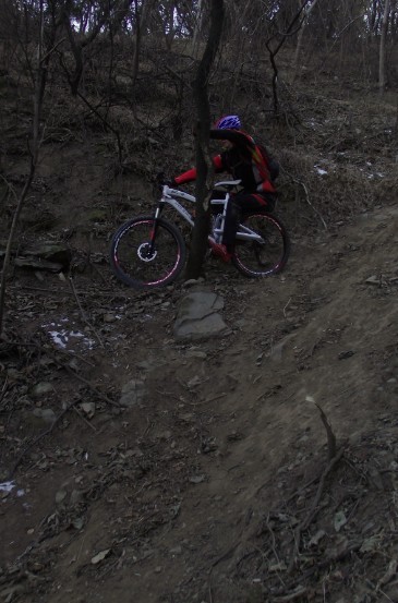 虾子下坡4 枹树.jpg