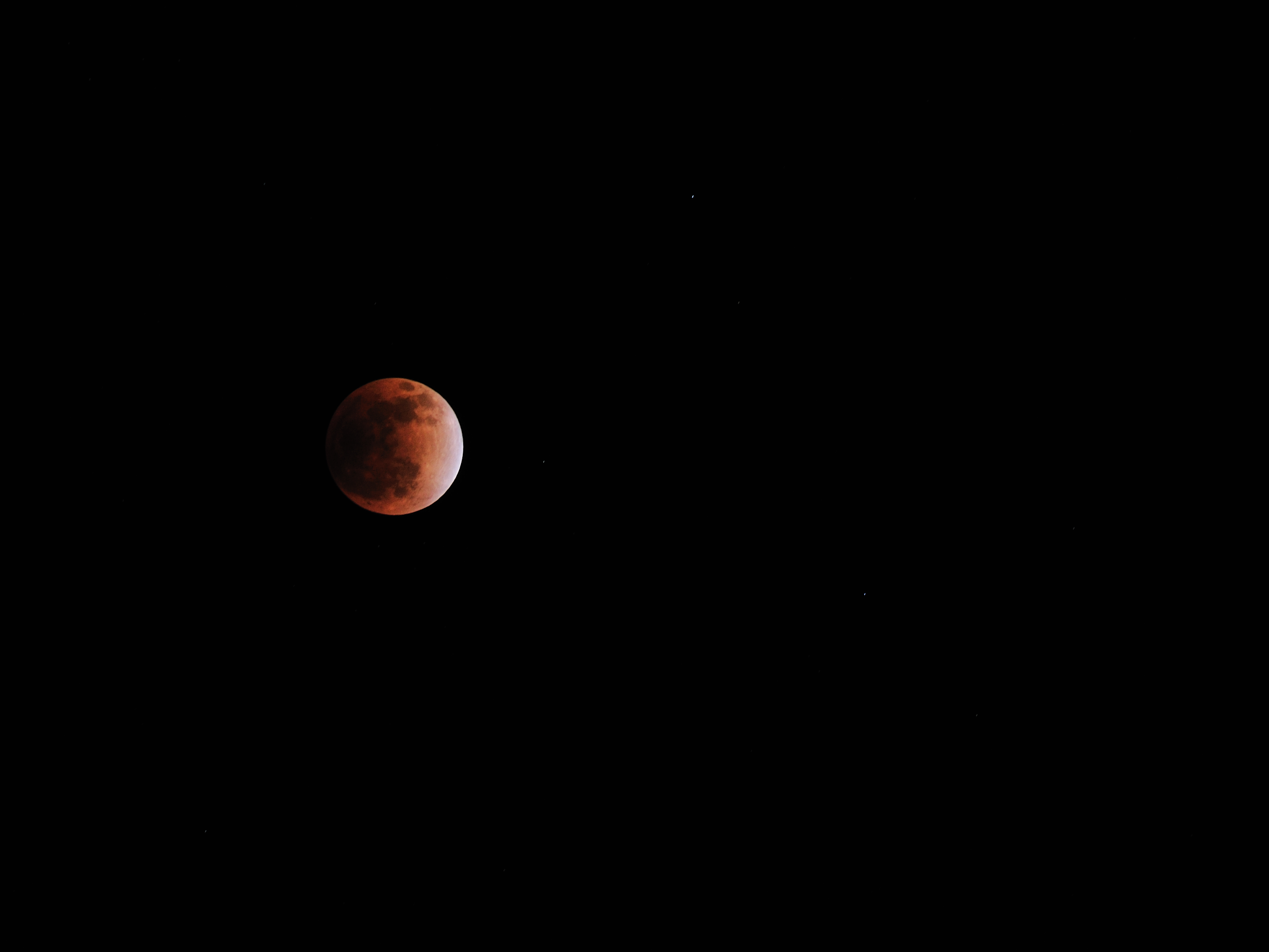 DSC_0351-11.jpg