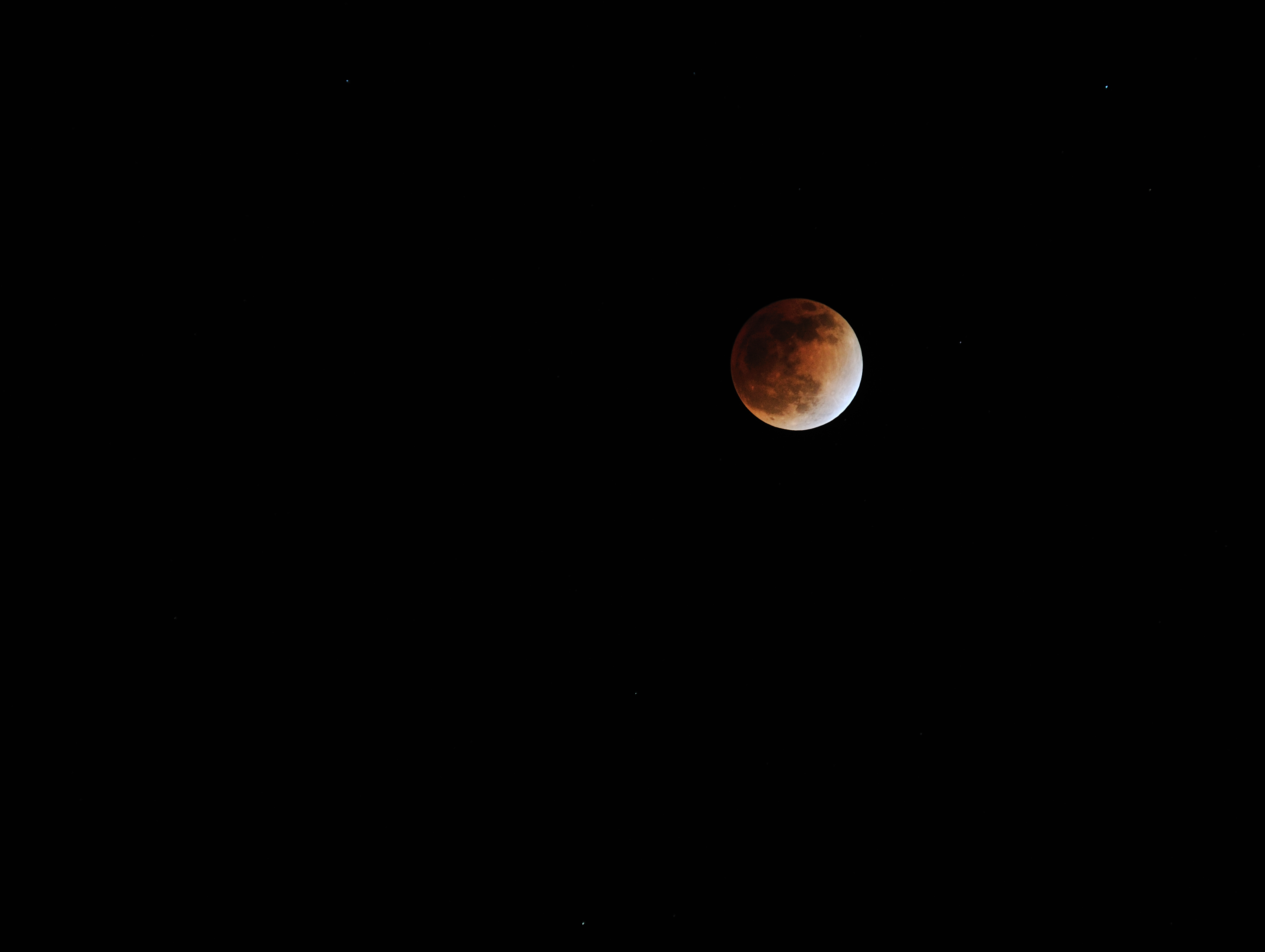 DSC_0391-1111.jpg