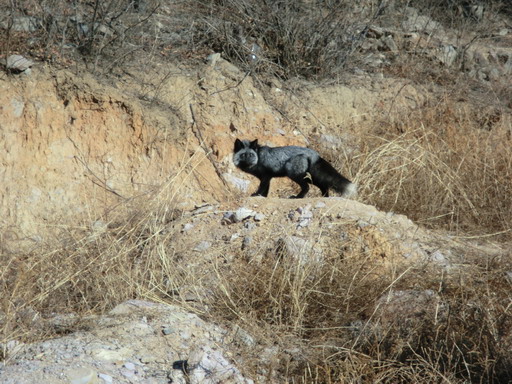 你什么时候才能变成美女啊~~