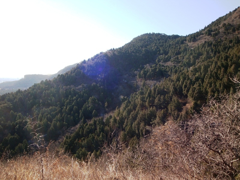 12.10香山XC 014.jpg