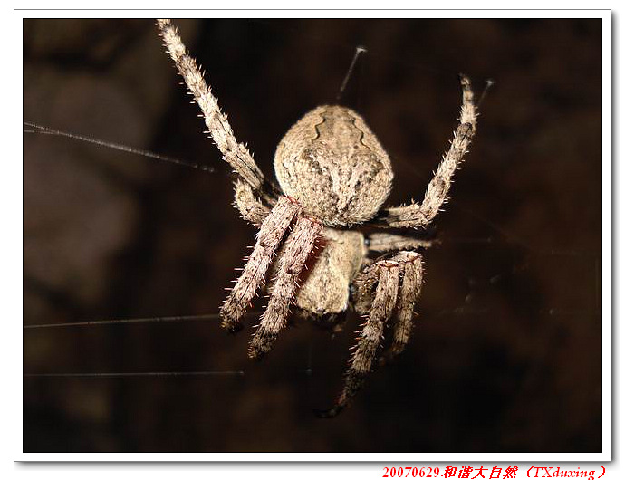 调整大小 DSC06614.JPG