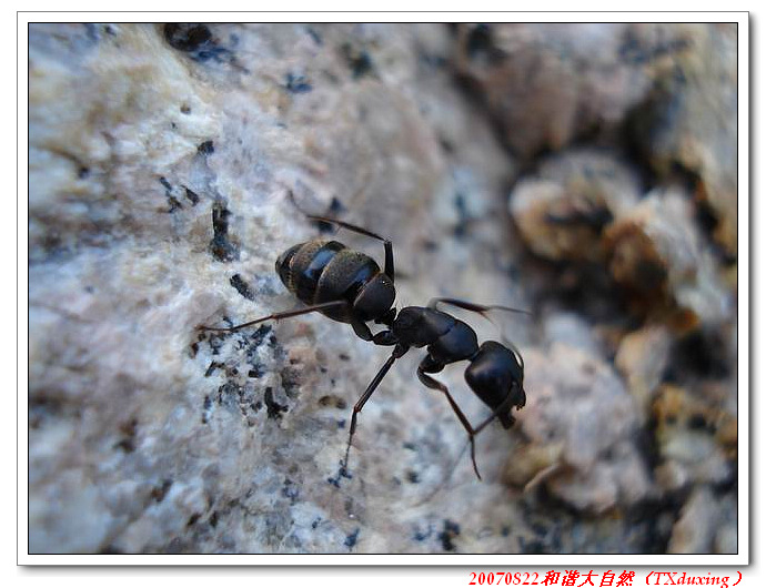 调整大小 DSC07423.JPG