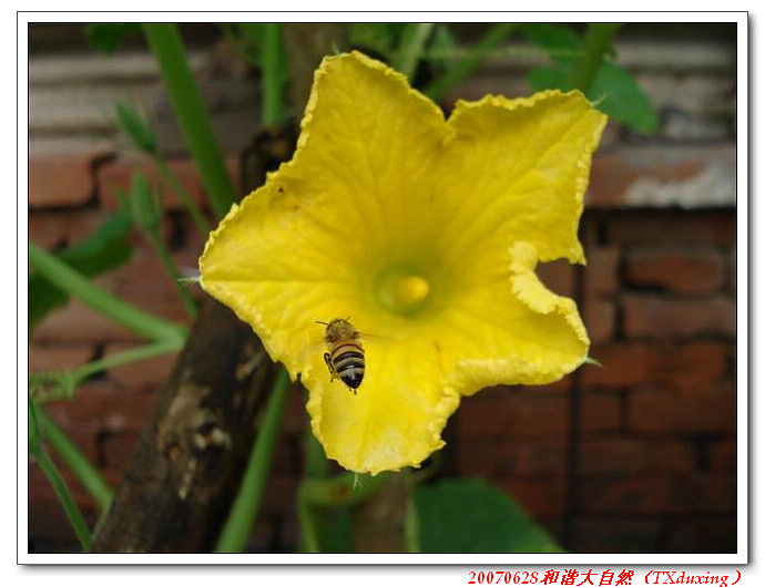 调整大小 DSC06589.JPG