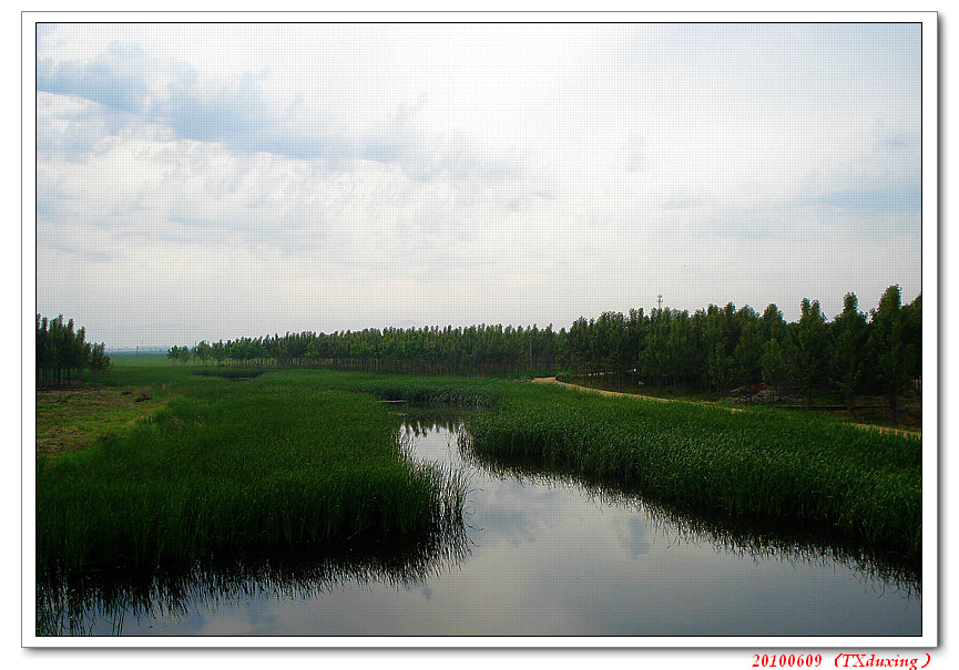 DSC06224.JPG