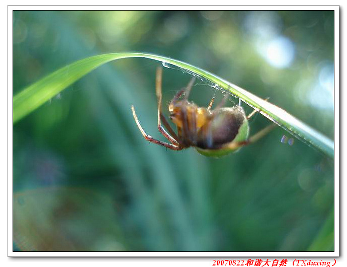 调整大小 DSC07373.JPG