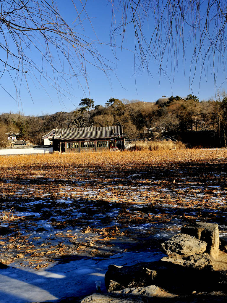 水心榭.jpg