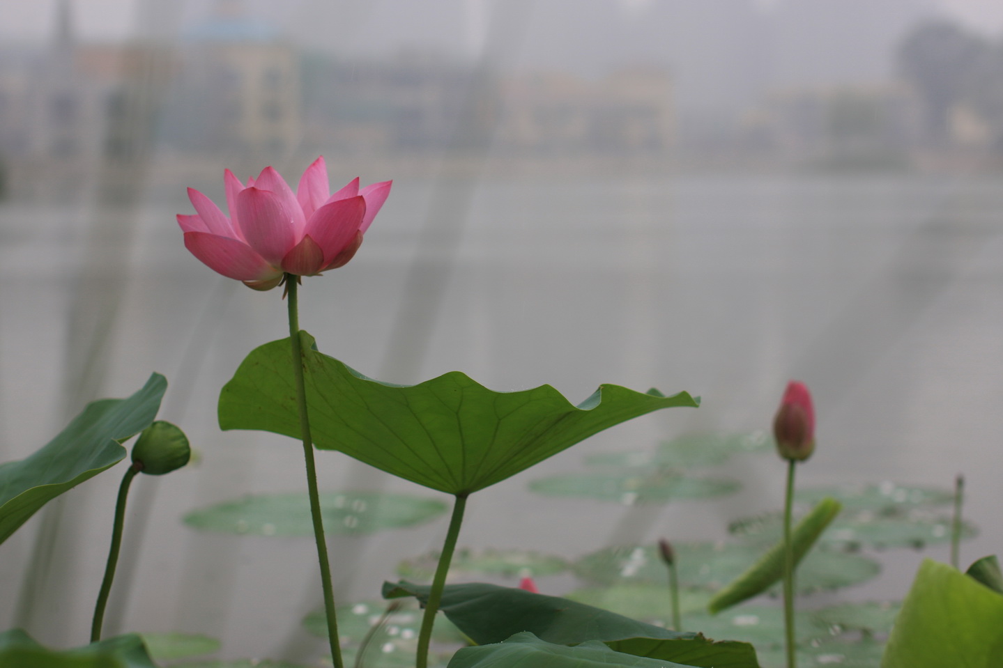 Test003.jpg