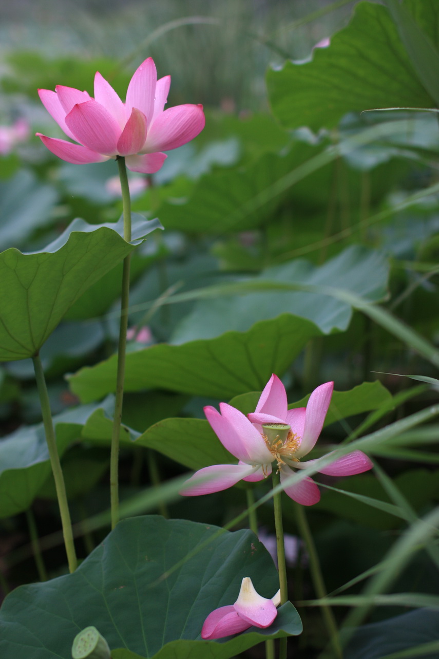 Test004.jpg