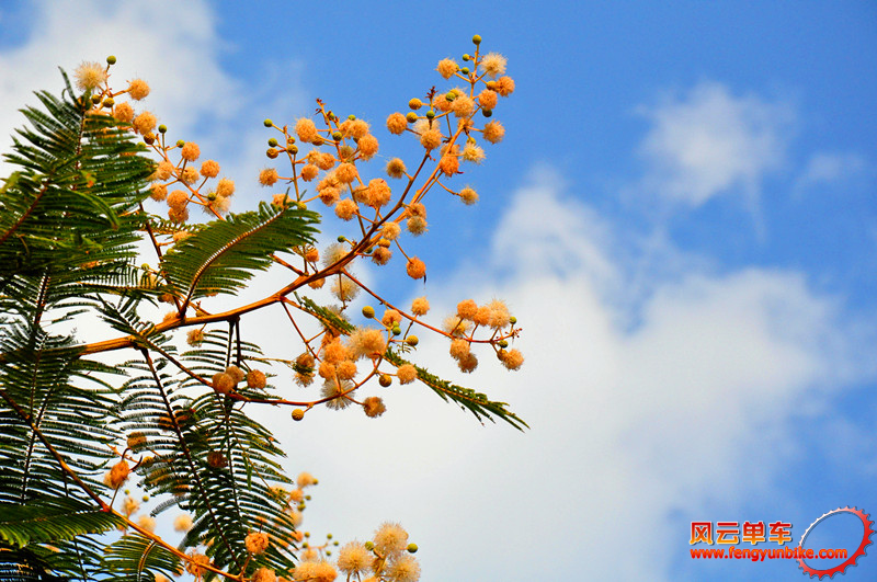 10.2011年11月26日 @Xochicalco.jpg