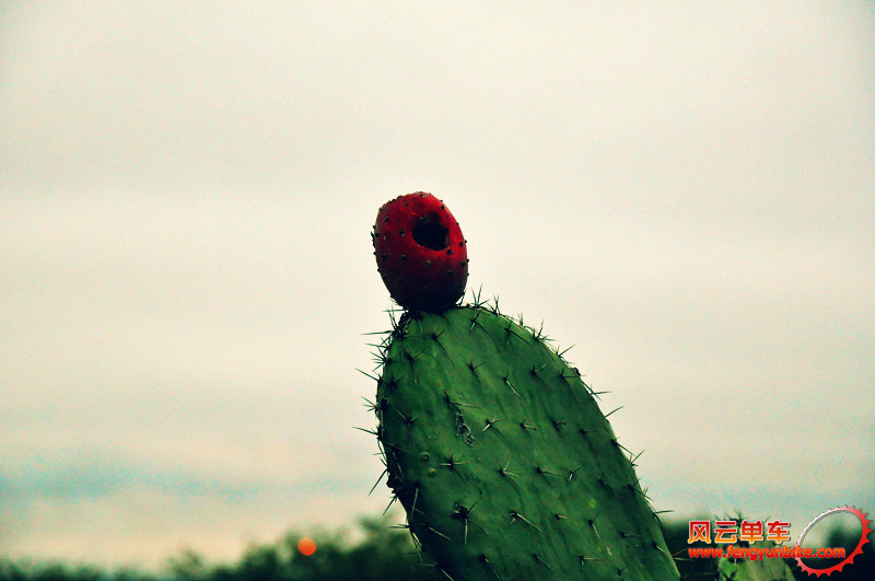 11.2011年11月27日 @Tula.jpg