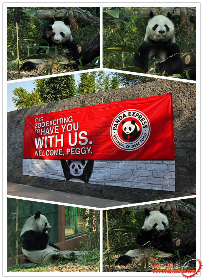 29.2011年12月15日 Mexico City time@墨西哥城动物园 他乡遇故知 动物园镇馆之宝 享受.jpg