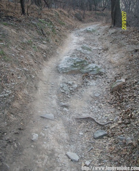 林道下坡2.jpg