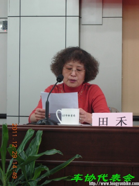 这女士做财务报告