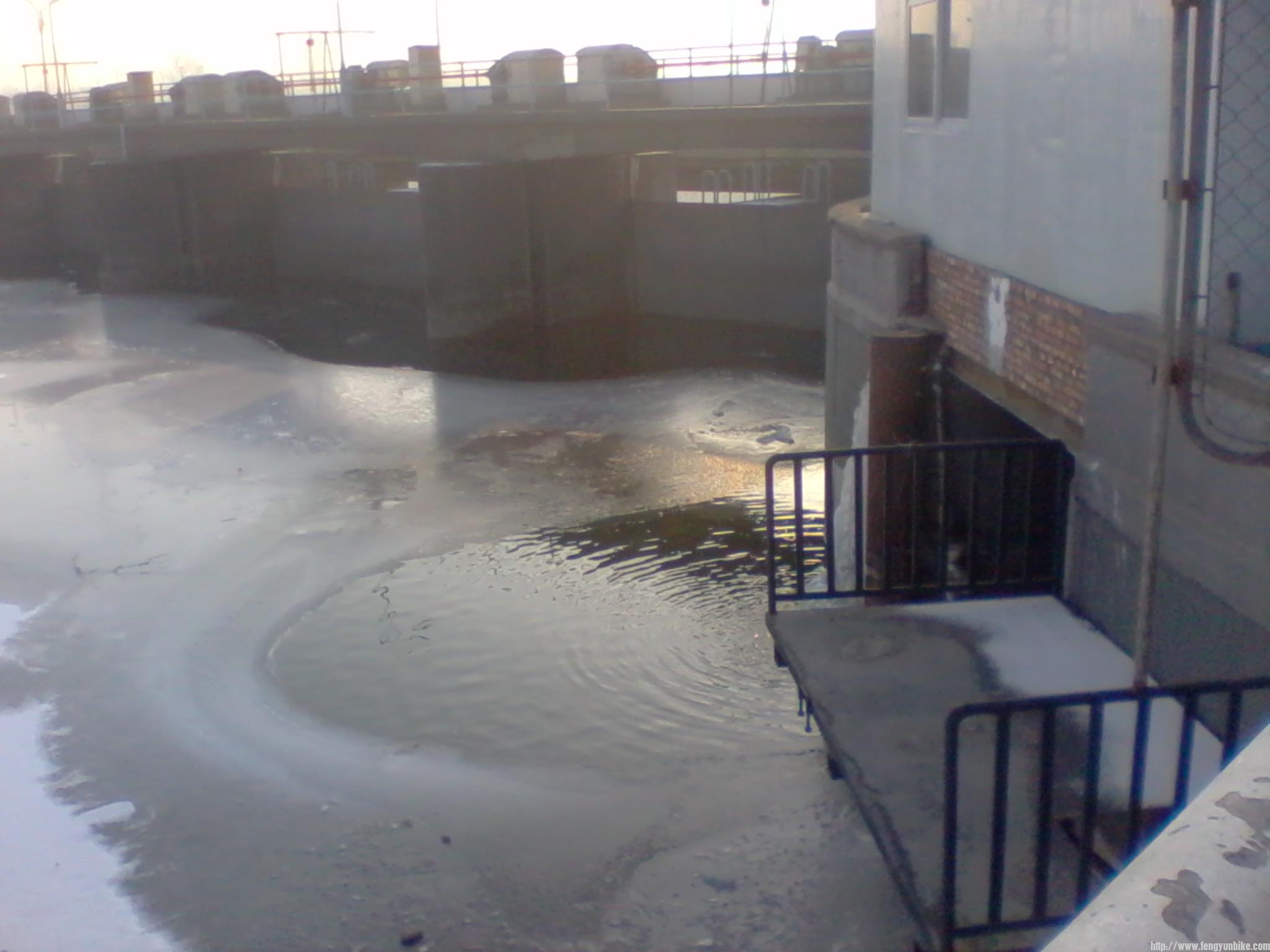 2011-12-31 09.11.58.jpg