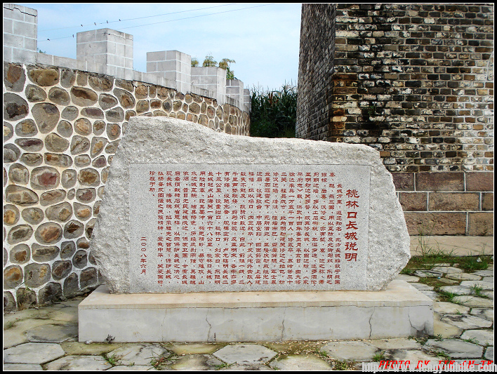 20100828-29 (20).JPG