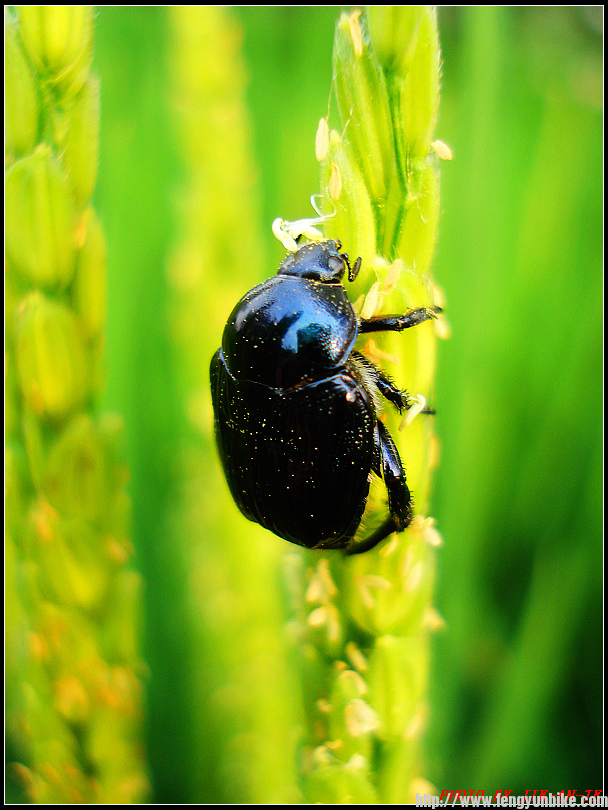 20100828-29 (28).JPG