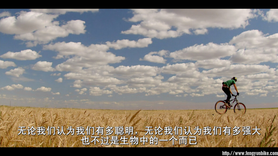 Life.Cycles.2010.Blu-ray.REMUX.H264.1080P.DD51.MySilu[20120119131113].jpg