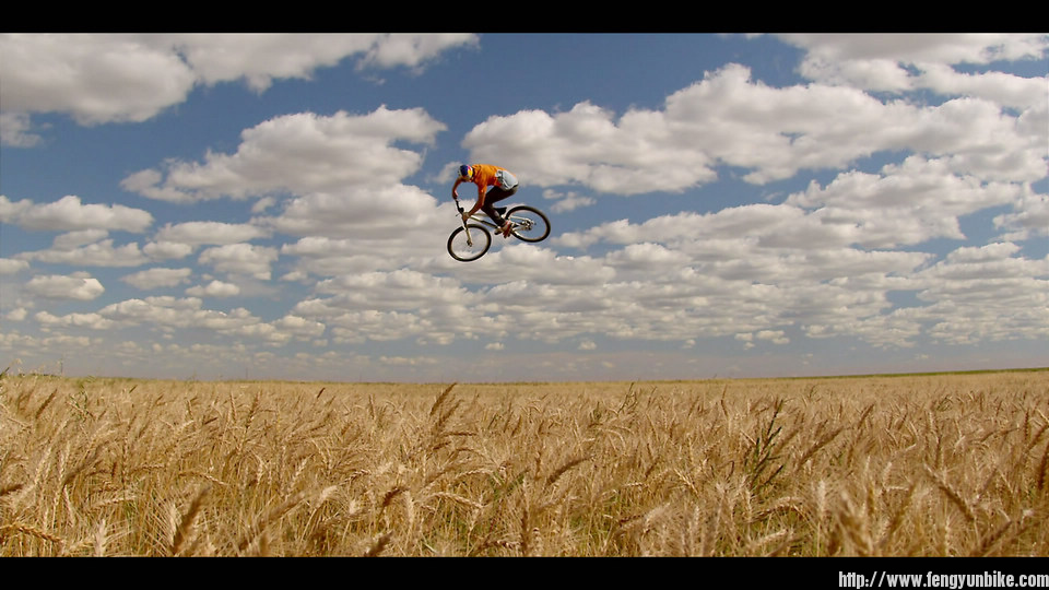 Life.Cycles.2010.Blu-ray.REMUX.H264.1080P.DD51.MySilu[20120119131145].jpg