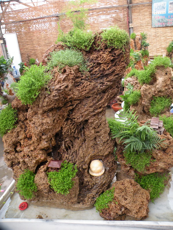 2012.1.21.赏花 (28)_缩小大小.jpg