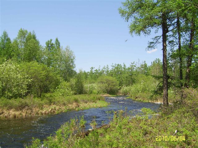 复件 王明鑫 411.jpg