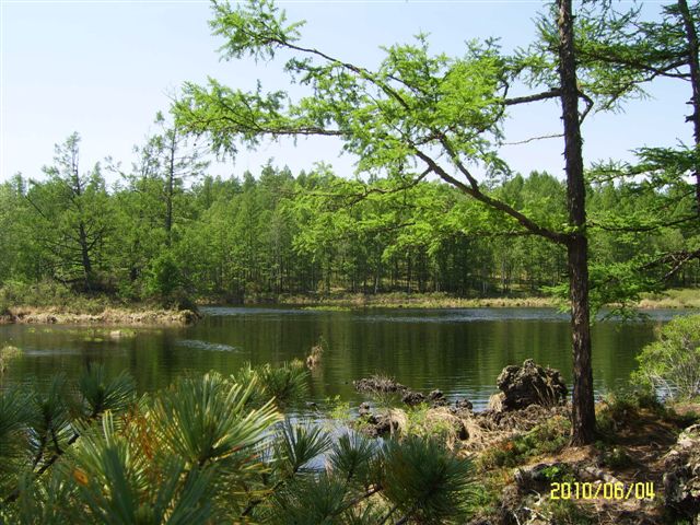 复件 王明鑫 410.jpg