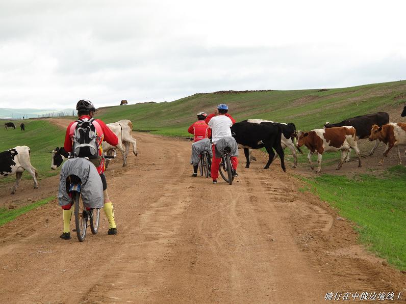 复件 BigBull_IMG_0301.JPG