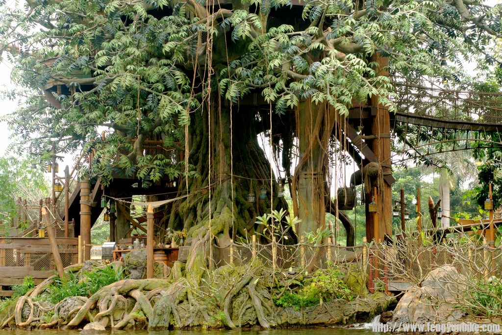人猿泰山住的地方