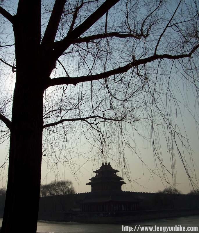 第一次将近五十公里骑行