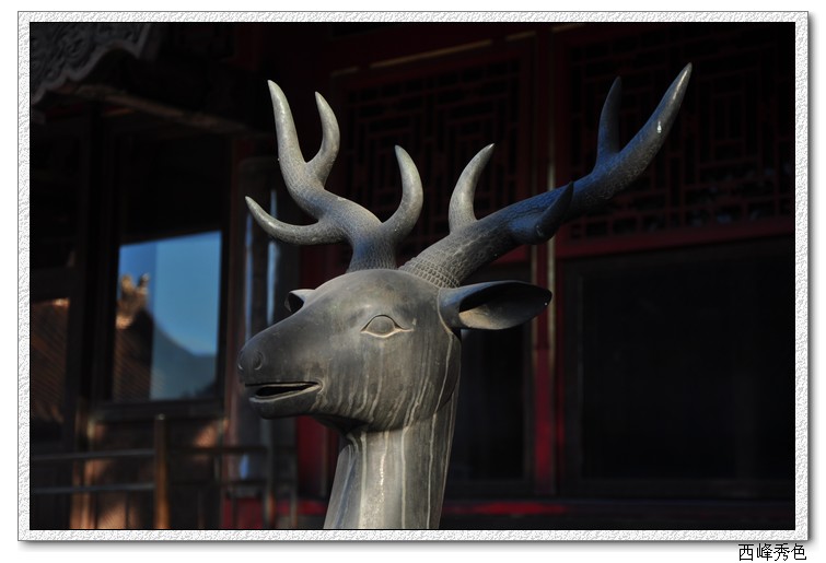 铜鹿.jpg