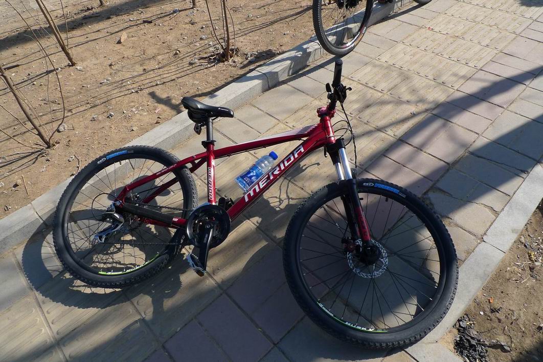 调整大小 调整大小 P1010370.JPG