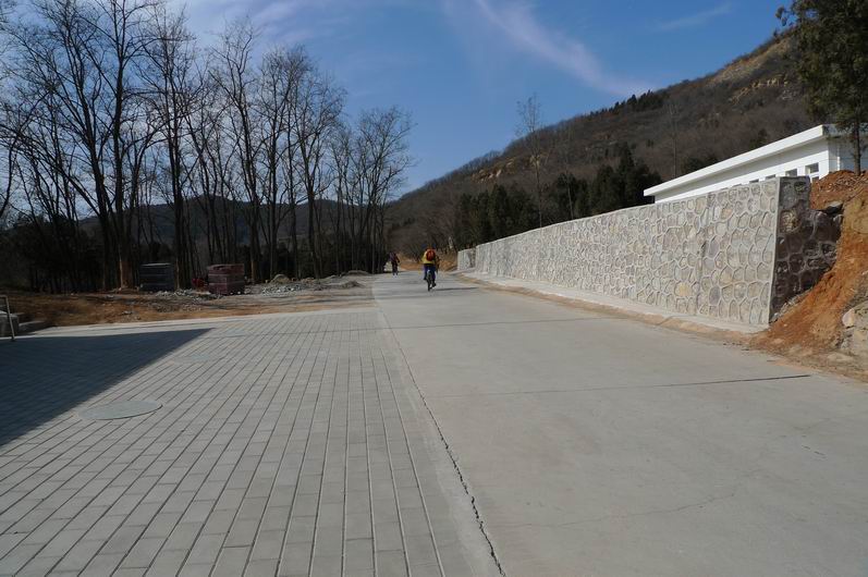 调整大小 P1010413.JPG