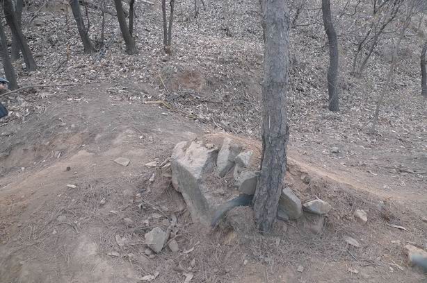 调整大小 P1010500.JPG