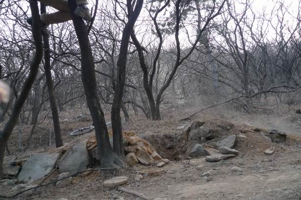 调整大小 P1010495.JPG