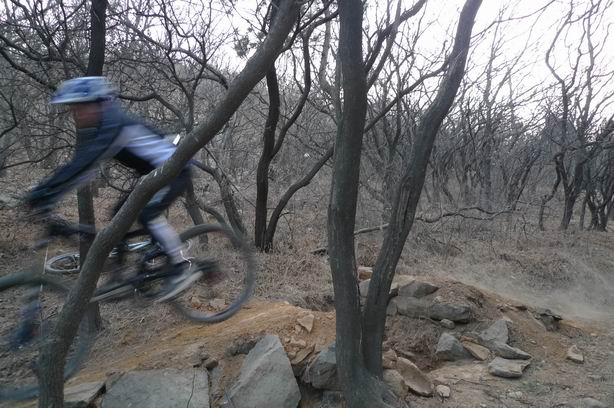 调整大小 P1010498.JPG