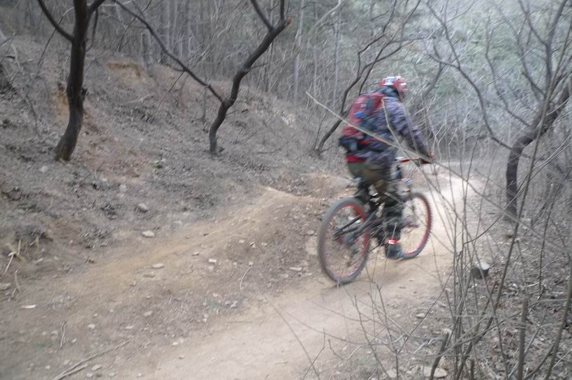 调整大小 P1010512.JPG