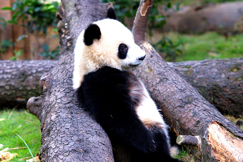 照片 1243_副本.jpg