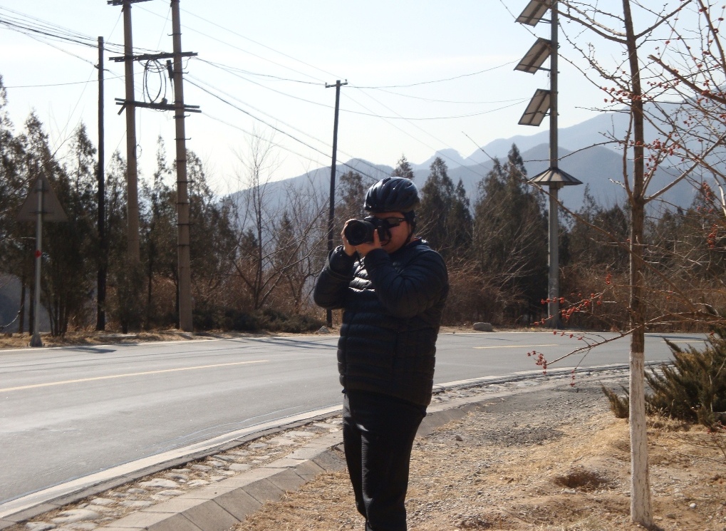 乱拍一气的tiger