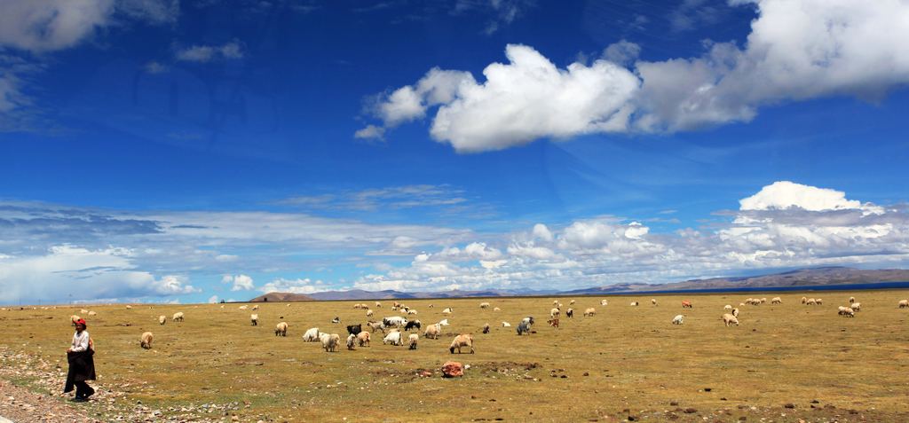 我天堂之旅“西藏面孔”