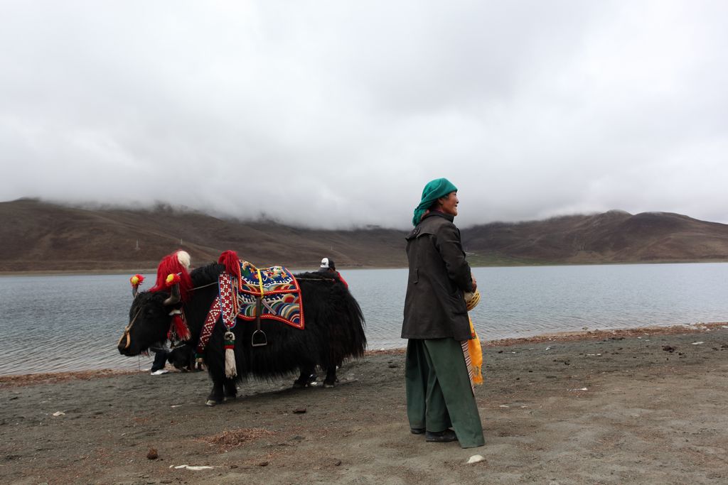 我天堂之旅“西藏面孔”
